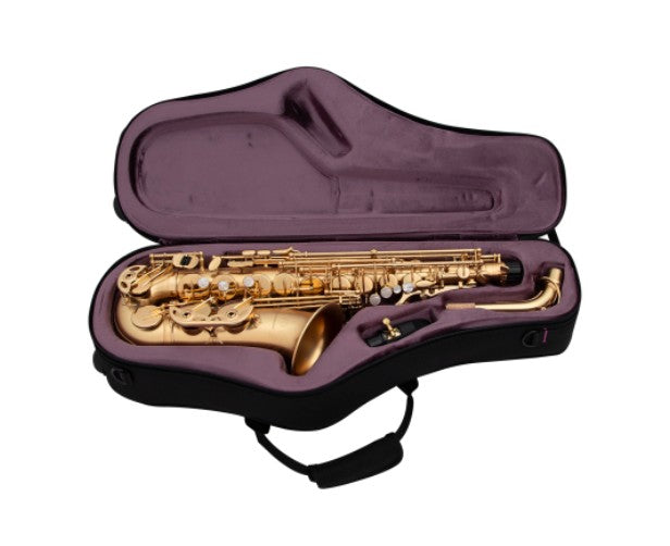 Trevor James EVO Alto Saxophone *Gold Lacquer*