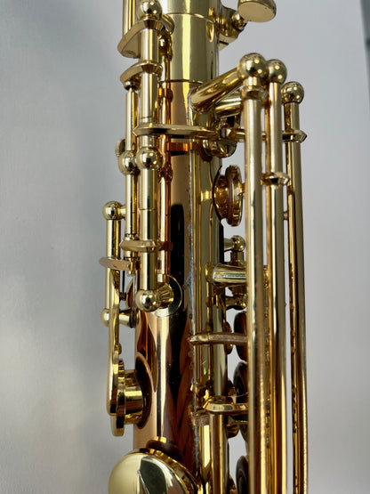 Yanagisawa AW020 Alto Saxophone (AWO20) (pre-owned)