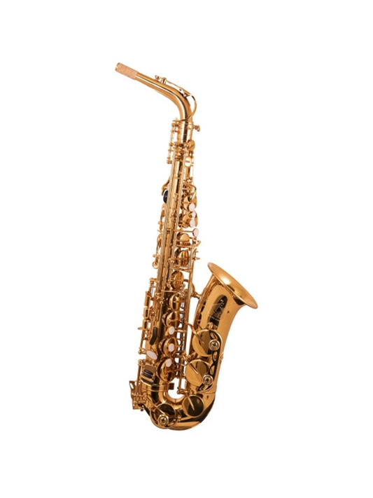 Trevor James 'The Horn' Alto Saxophone - Ex Display