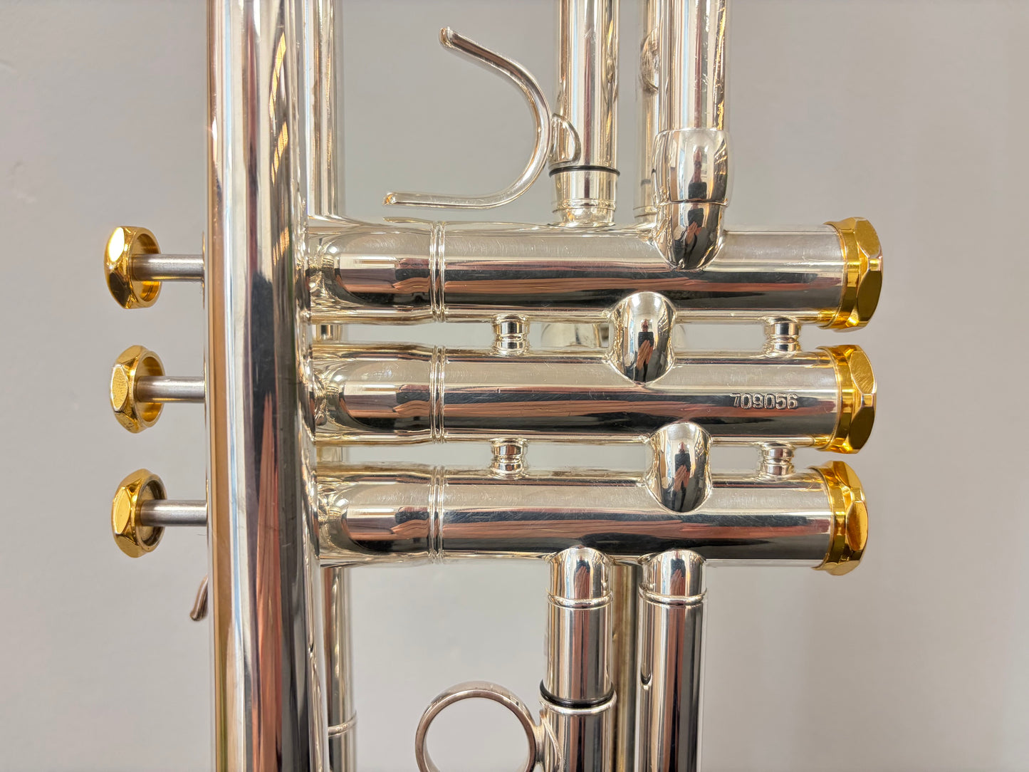 Arnolds & Sons Terra 5200GSG Trumpet (pre-owned)