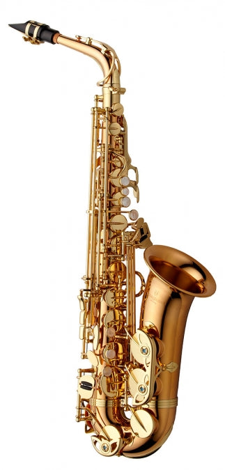 Yanagisawa AW02 Alto Saxophone - Bronze