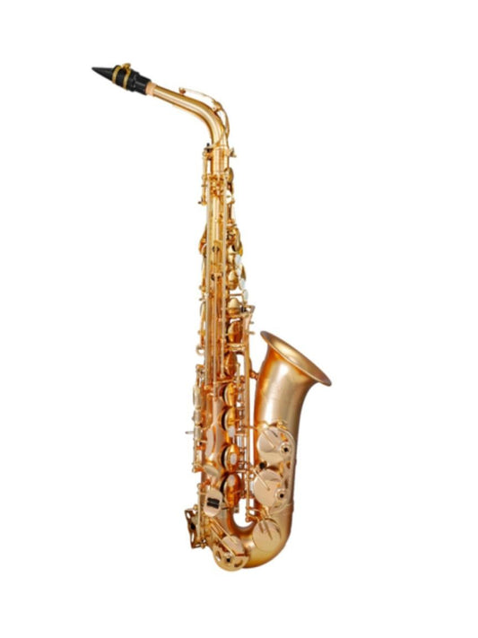 Trevor James EVO Alto Saxophone *Gold Frost*