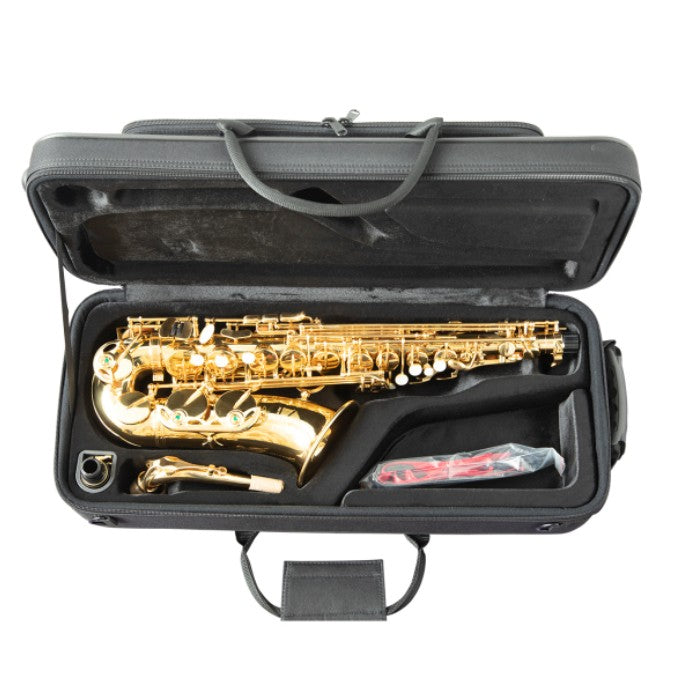 Trevor James 'The Horn' Alto Saxophone