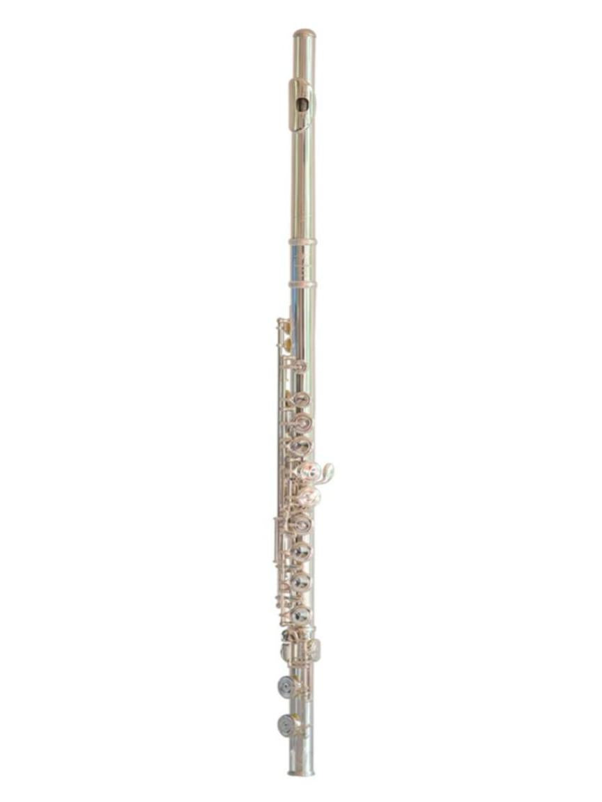 Trevor James 10XE-P Flute
