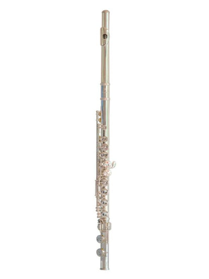 Trevor James 10XE-P Flute