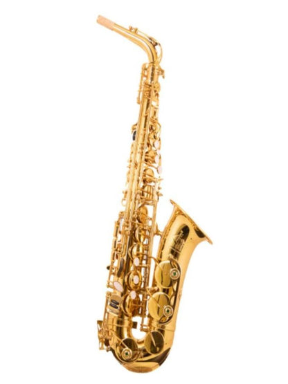 Trevor James 'The Horn' Alto Saxophone