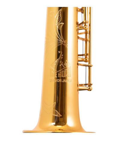 Trevor James 'The Horn' Soprano Saxophone