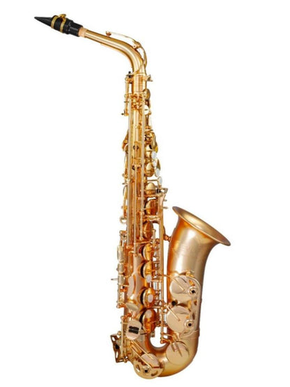 Trevor James EVO Alto Saxophone *Gold Frost*