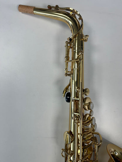 Trevor James Alpha Sax (pre owned)