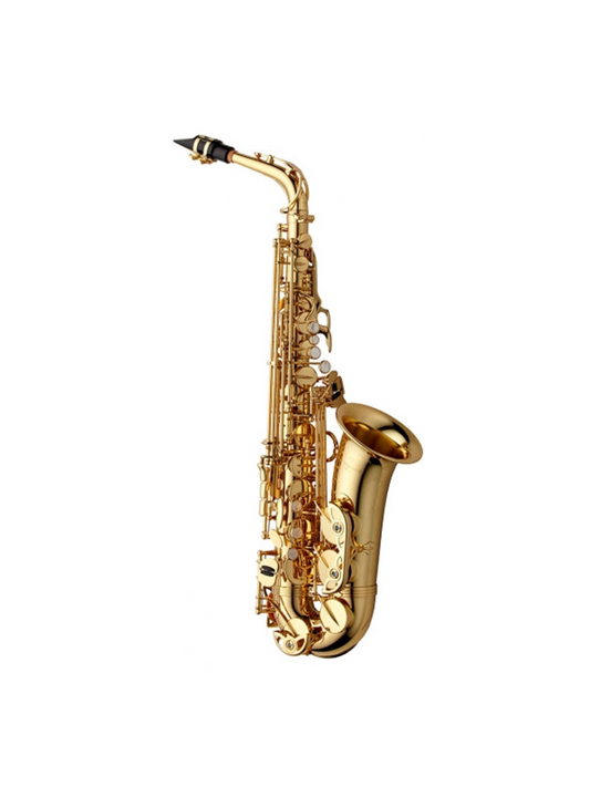 Yanagisawa AW01 Alto Saxophone (AW01)