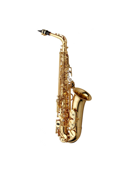 Yanagisawa AWO1 Alto Saxophone