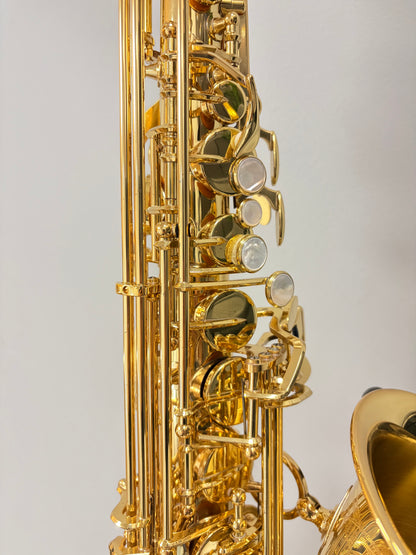 Yanagisawa AWO1 Alto Saxophone (pre-owned)
