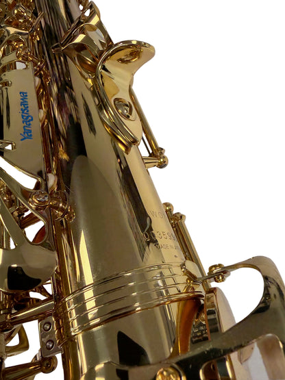 Yanagisawa AWO1 Alto Saxophone (pre-owned)