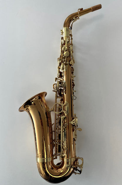 Yanagisawa AW020 Alto Saxophone (AWO20) (pre-owned)