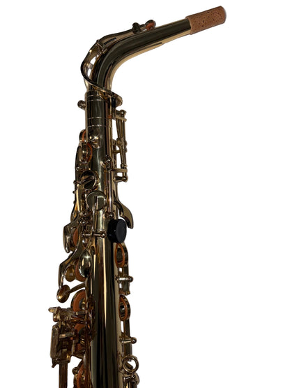 Trevor James 'The Horn' Classic Alto Saxophone (pre-owned)
