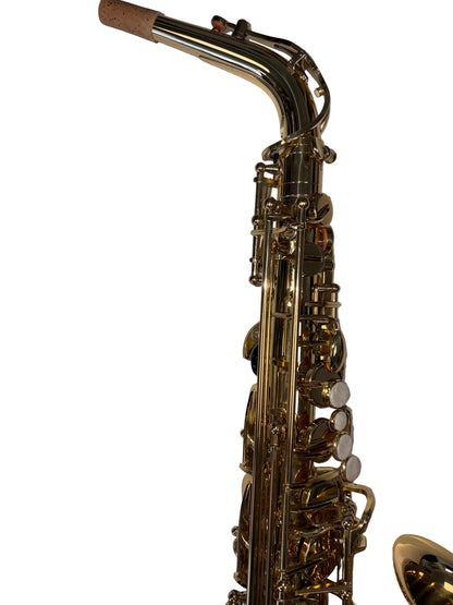 Trevor James 'The Horn' Classic Alto Saxophone (pre-owned)