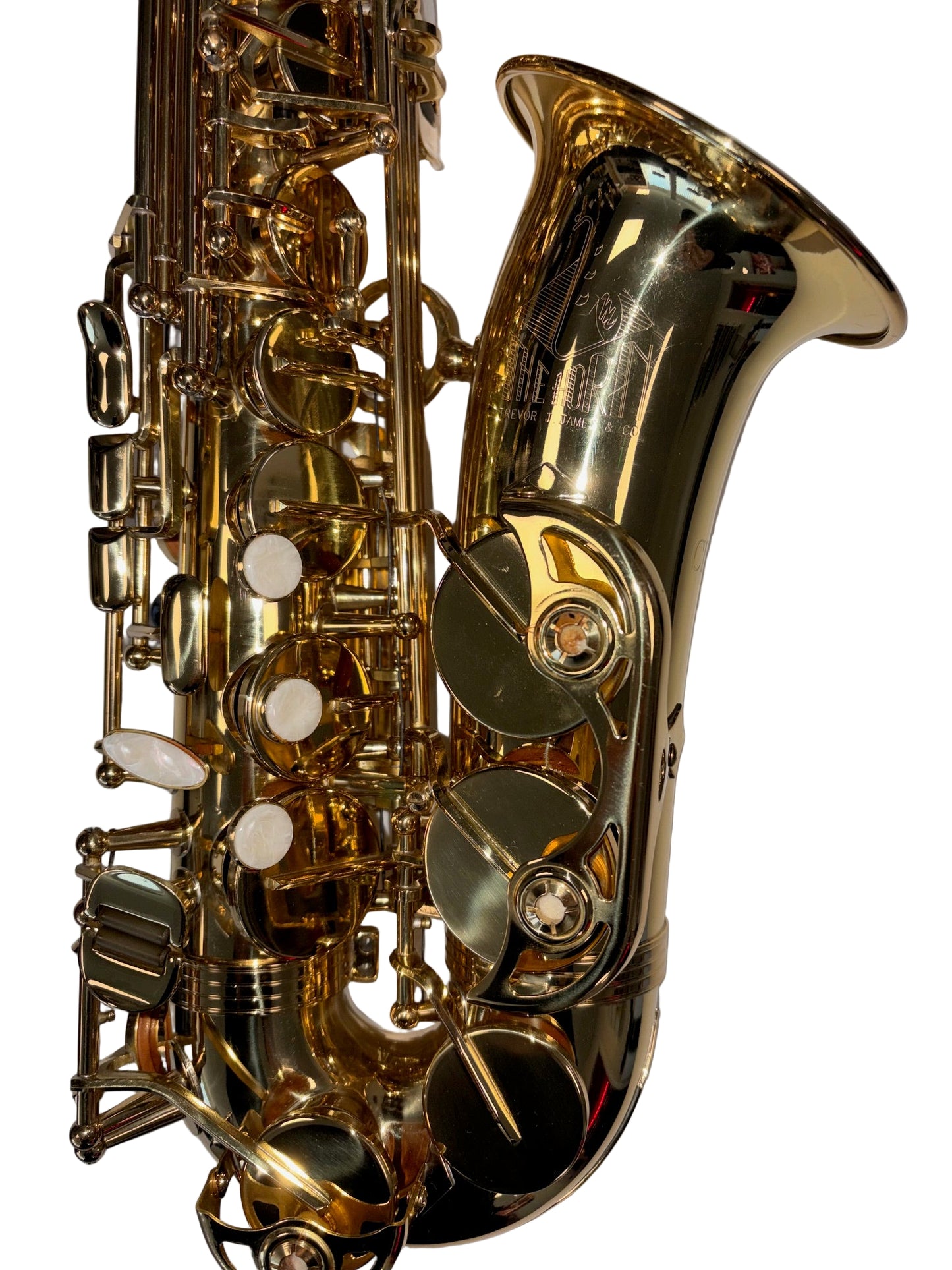 Trevor James 'The Horn' Classic Alto Saxophone (pre-owned)