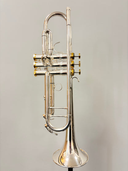 Arnolds & Sons Terra 5200GSG Trumpet (pre-owned)