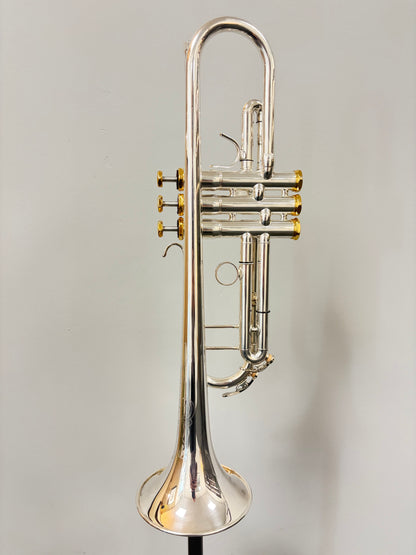 Arnolds & Sons Terra 5200GSG Trumpet (pre-owned)