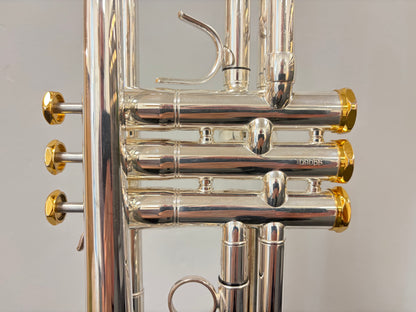 Arnolds & Sons Terra 5200GSG Trumpet (pre-owned)
