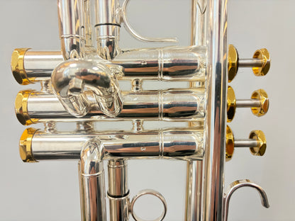Arnolds & Sons Terra 5200GSG Trumpet (pre-owned)