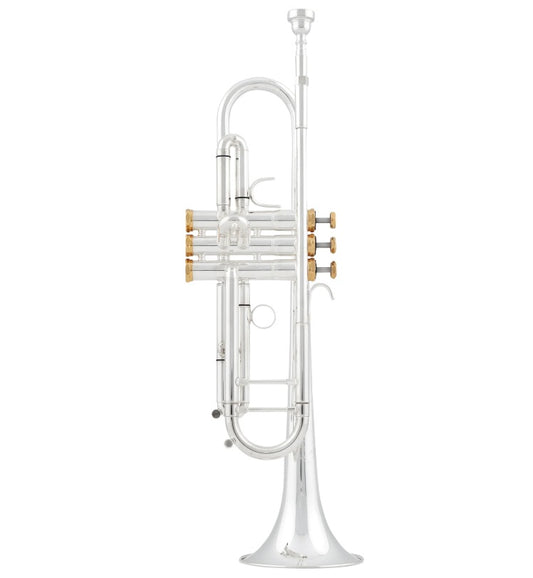 Arnolds & Sons Terra 5200GSG Trumpet