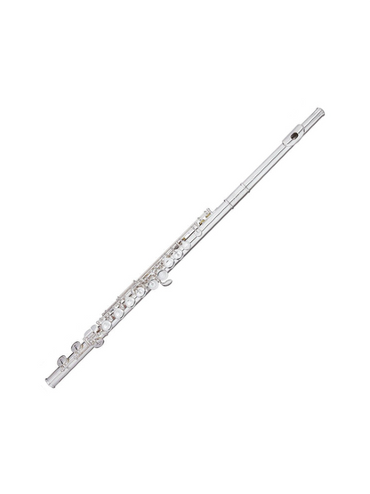 Trevor James 10XE-P Flute